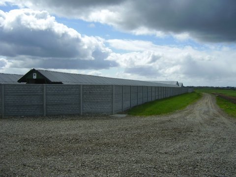 Betonhegn godkendt til mink