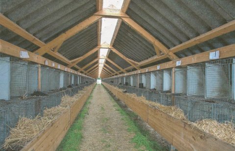 A-farm til nedtagning